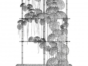monstera 3D 모델