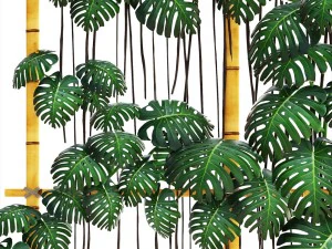 monstera 3D Model