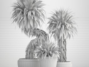 collection of tropical plants yucca Model 3D