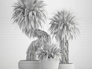 collection of tropical plants yucca 3D Model