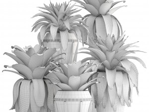 tropical plant shrubs bromelia 3D 模型