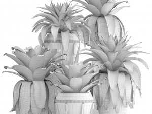 tropical plant shrubs bromelia 3D Model