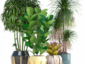 collection of tropical plants 3D Model