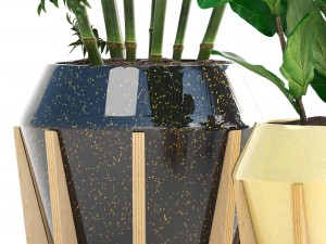 collection of tropical plants 3D 模型