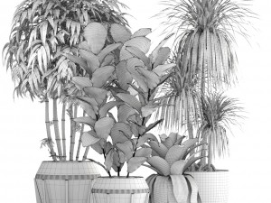 collection of tropical plants 3D 模型