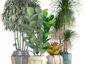 collection of tropical plants 3D 模型