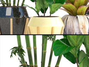 collection of tropical plants 3D 模型