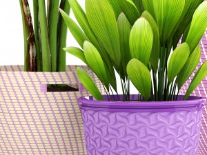 plant collection 3D Model