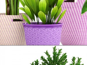 plant collection 3D Model