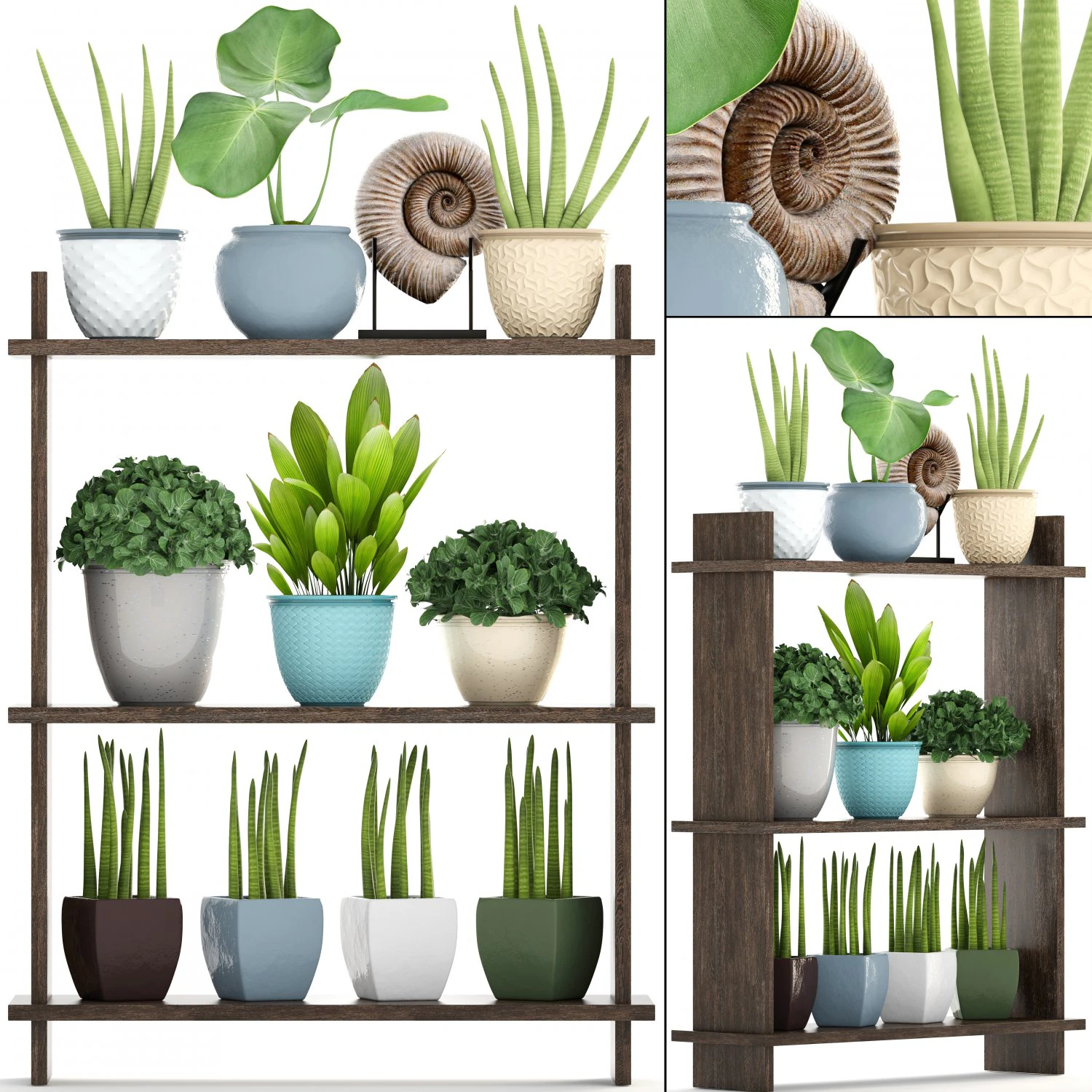 collection plants 3D Model .c4d .max .obj .3ds .fbx .stl .blend 