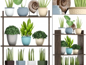 collection plants 3D Model
