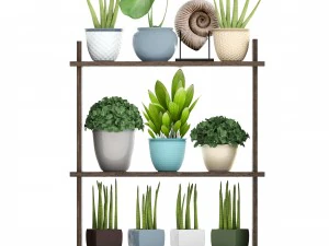 collection plants 3D Model
