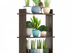 collection plants 3D Model