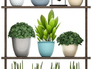 collection plants 3D Model