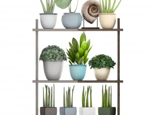 collection plants 3D Model
