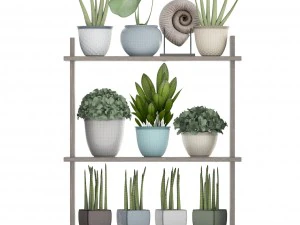 collection plants 3D Model