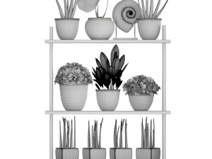 collection plants Modelo 3D