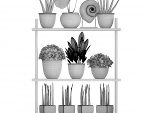 collection plants 3D Model