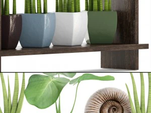 collection plants 3D Model
