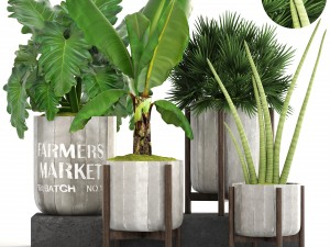 collection of plants 3D Model