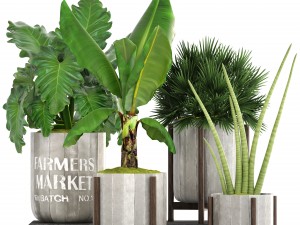 collection of plants 3D Model