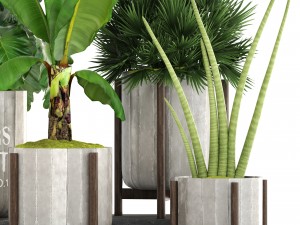 collection of plants 3D Model