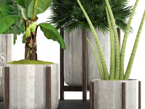collection of plants 3D Model