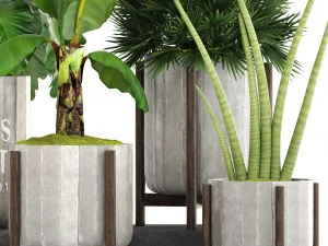 collection of plants 3D Model