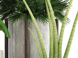 collection of plants 3D Model