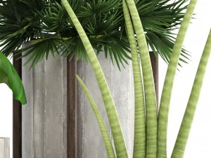 collection of plants 3D Model