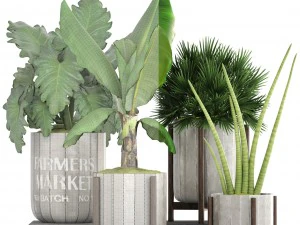 collection of plants 3D Model