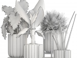 collection of plants 3D Model