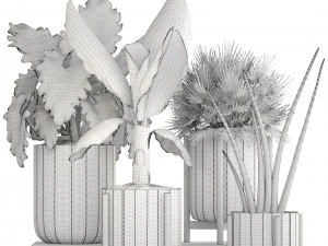 collection of plants 3D Model