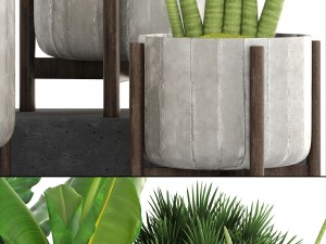 collection of plants 3D Model