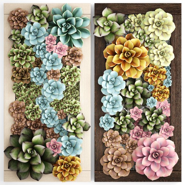 echeveria vertical garden 3D-Modell .c4d .max .obj .3ds .fbx .stl .blend 