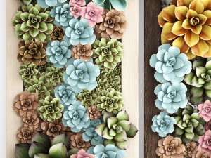 echeveria vertical garden 3D-Modell