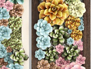 echeveria vertical garden 3D-Modell