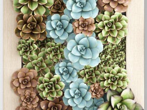 echeveria vertical garden 3D-Modell