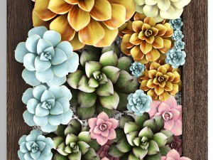 echeveria vertical garden 3D-Modell