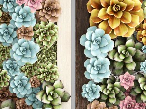 echeveria vertical garden 3D Model