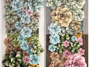 echeveria vertical garden 3D-Modell