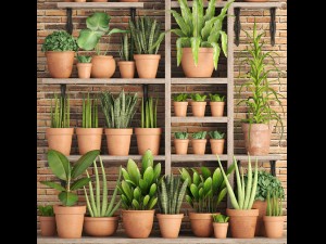 collection of plants in clay pots 3D Модель