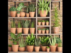 collection of plants in clay pots 3D Model