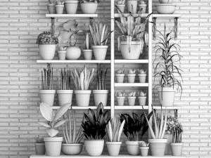 collection of plants in clay pots 3D Model