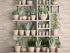 collection of plants in clay pots 3D Model