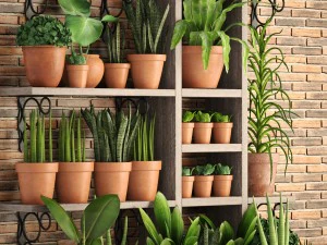 cole&ccedil;&atilde;o de plantas em vasos de barro Modelo 3D