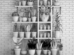 collection of plants in concrete pots 2 3D मॉडल