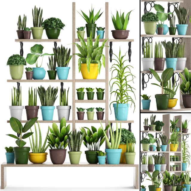 picking plants in pots 3D Модель .c4d .max .obj .3ds .fbx .stl .blend 