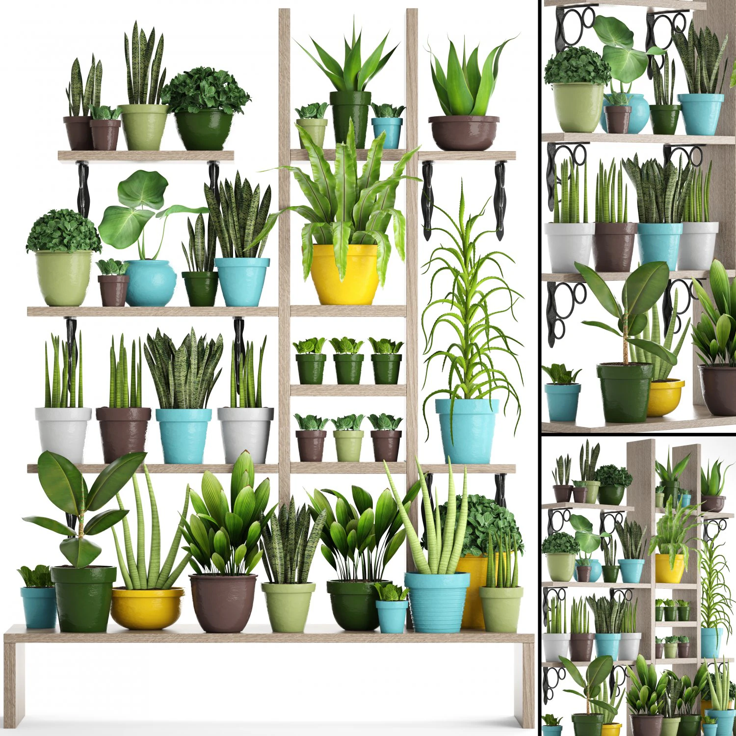 picking plants in pots 3D Model .c4d .max .obj .3ds .fbx .stl .blend 