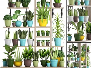 鉢植えの植物を摘む 3Dモデル